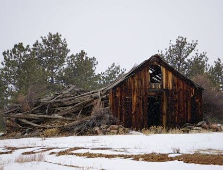 Brown Wooden Shed Near Green Trees